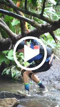 BIB:  <button type="button" onclick="openModal(27824405)" class="btn btn-primary btn-sm float-right" data-toggle="modal" data-target=".modal-high-quality">
                <i class="fa fa-download"></i> Download
                </button>